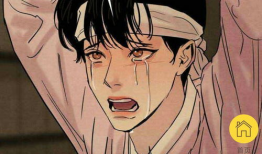 耽美漫画集,描绘爱情的细腻画卷